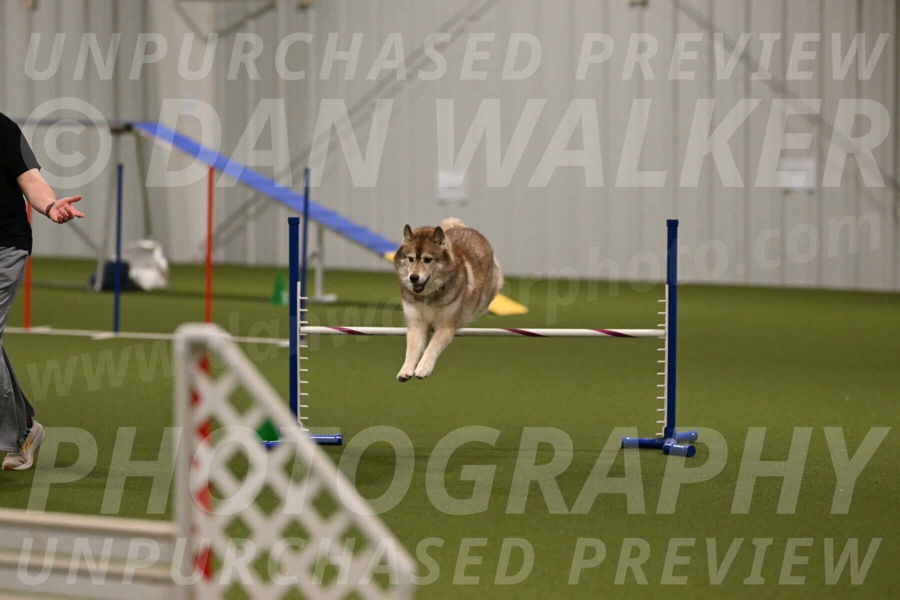 Teva-Jamie-Thompson-04183