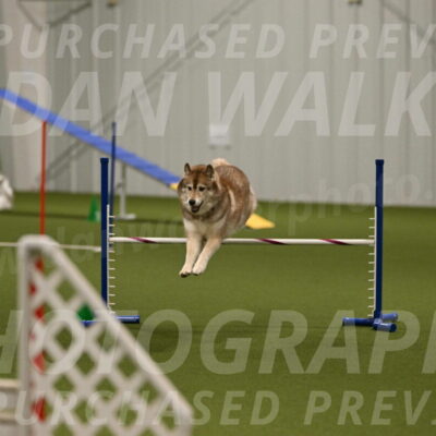 Teva-Jamie-Thompson-04183