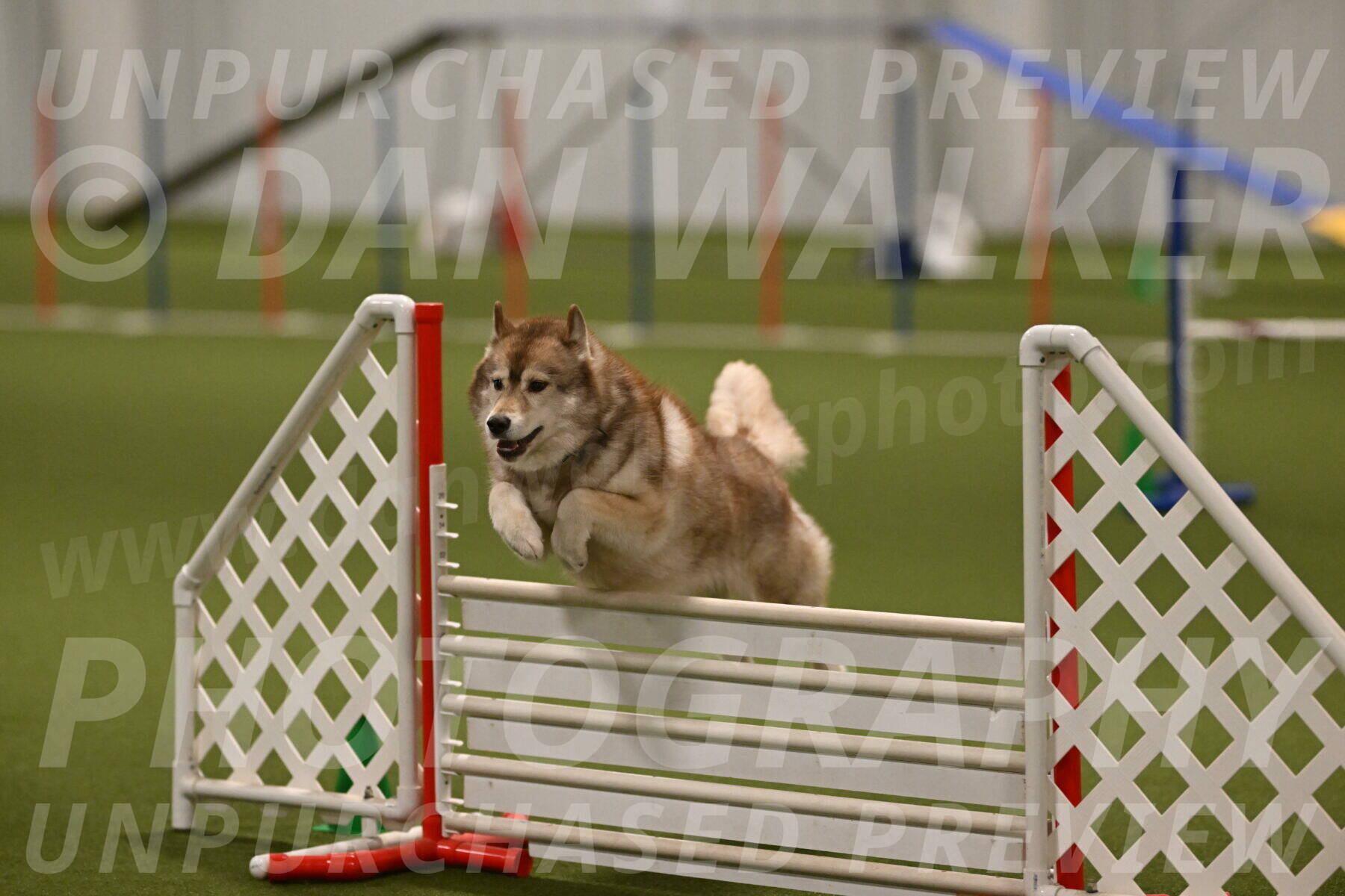 Teva-Jamie-Thompson-04184