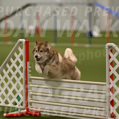 Teva-Jamie-Thompson-04184