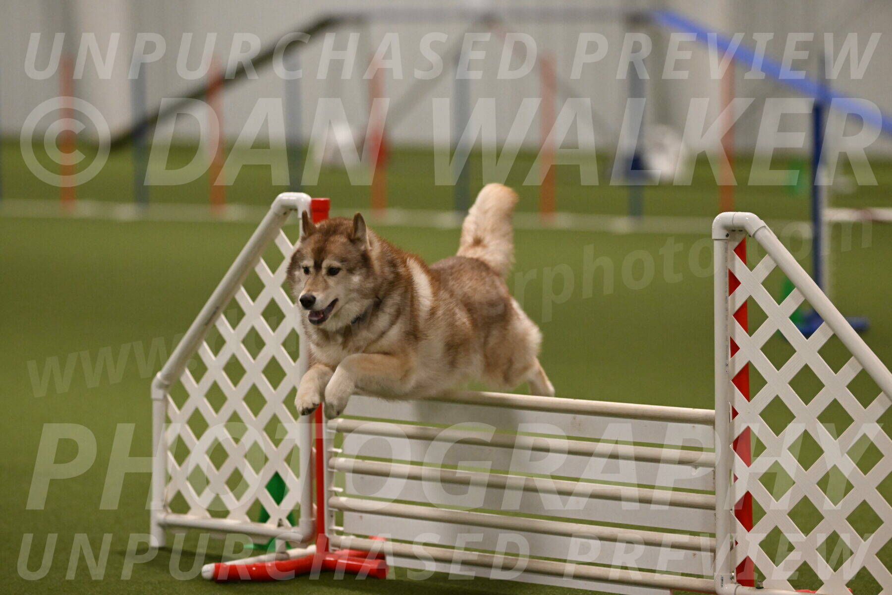 Teva-Jamie-Thompson-04185