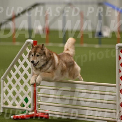 Teva-Jamie-Thompson-04185