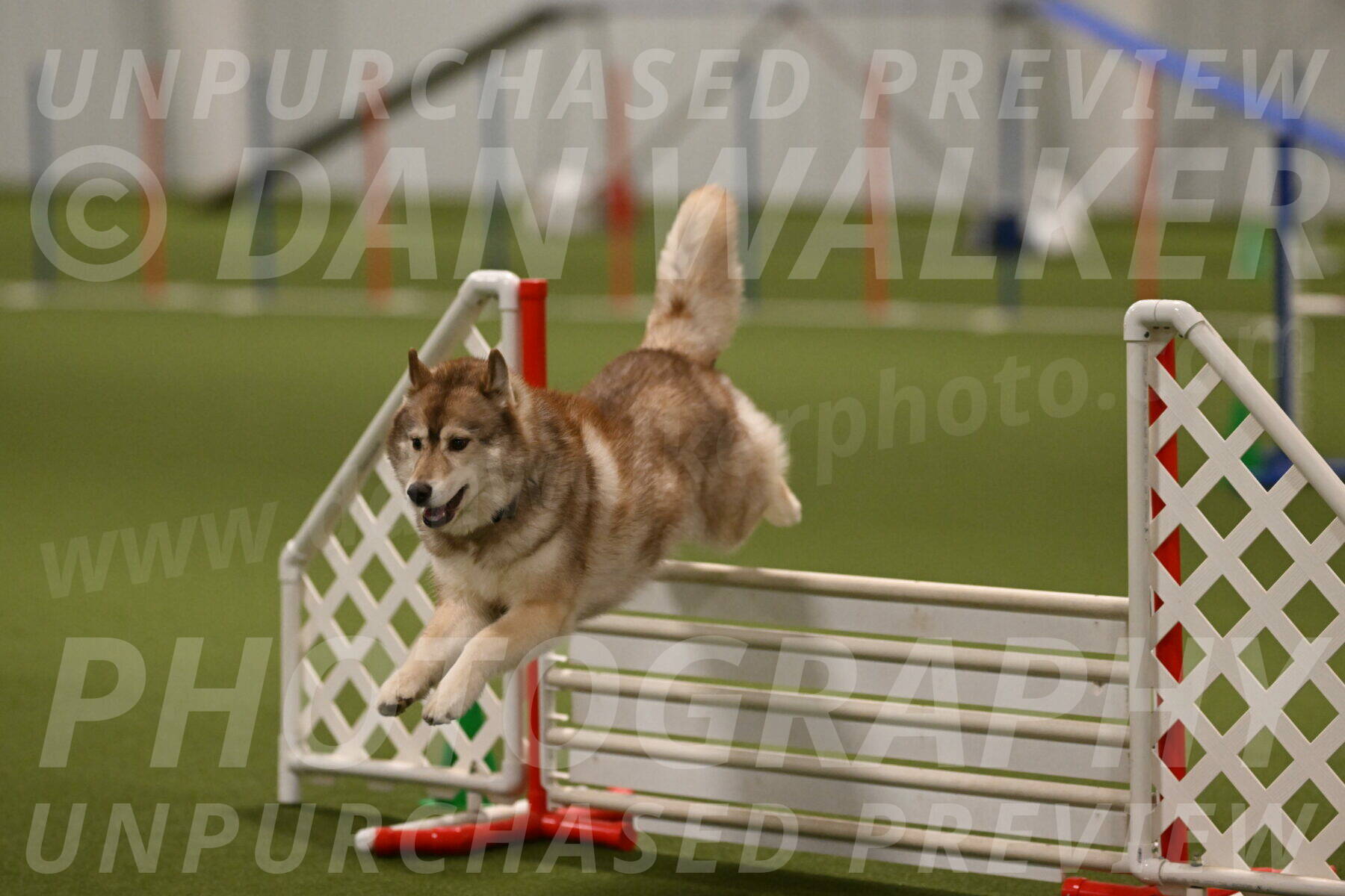 Teva-Jamie-Thompson-04186