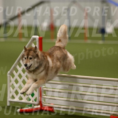 Teva-Jamie-Thompson-04186