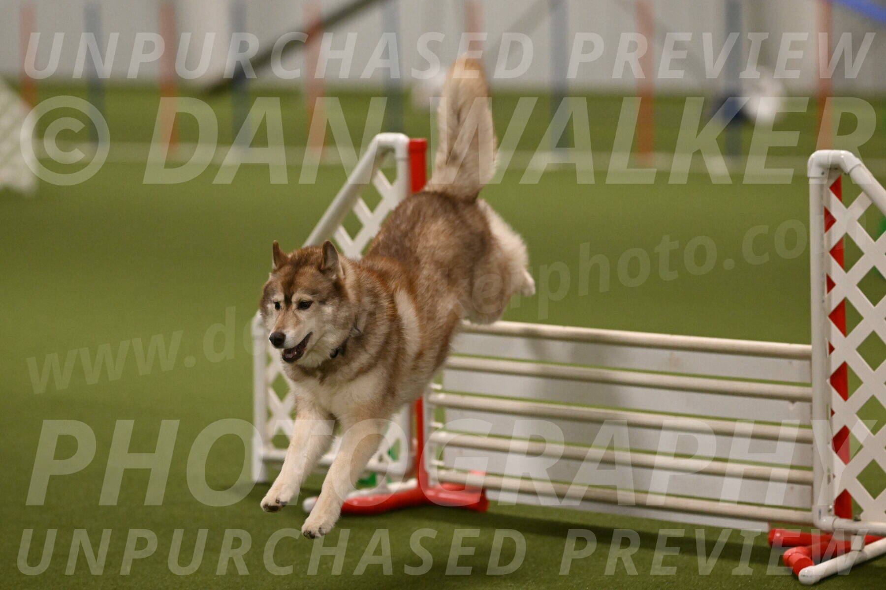 Teva-Jamie-Thompson-04187