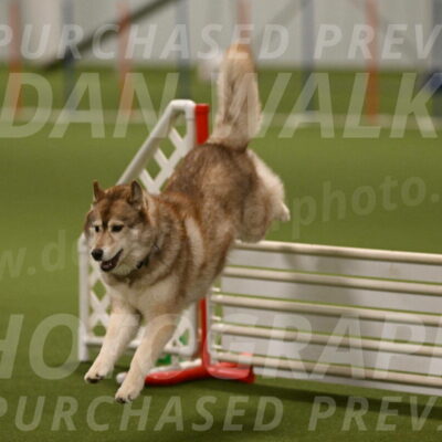 Teva-Jamie-Thompson-04187