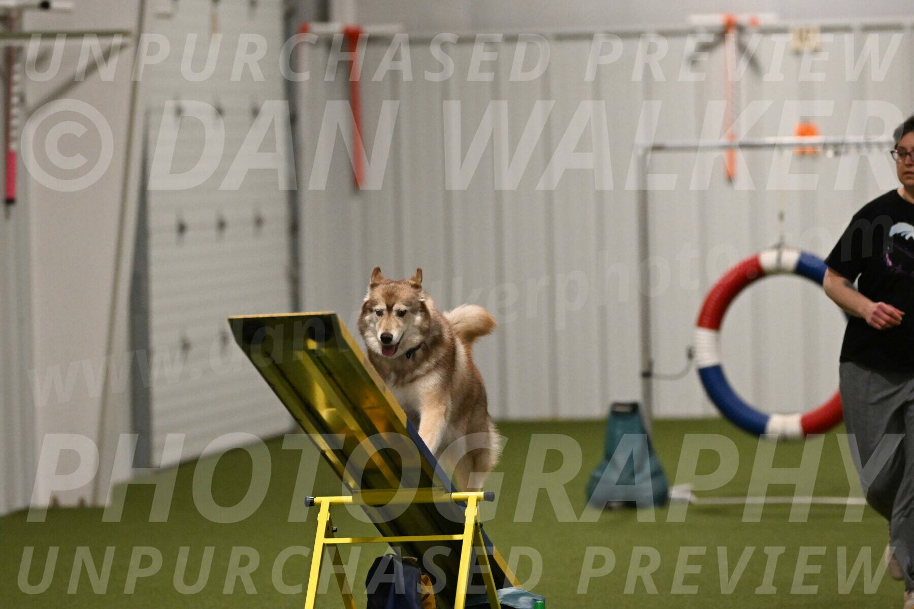 Teva-Jamie-Thompson-04188