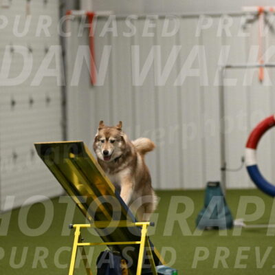 Teva-Jamie-Thompson-04188