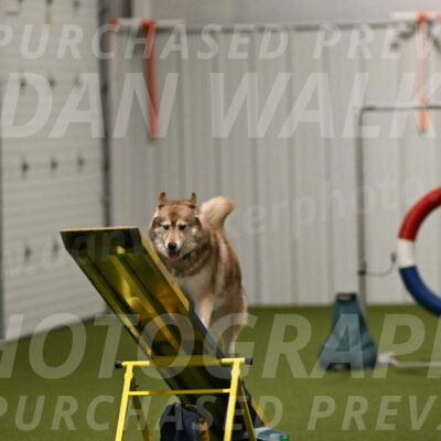 Teva-Jamie-Thompson-04189