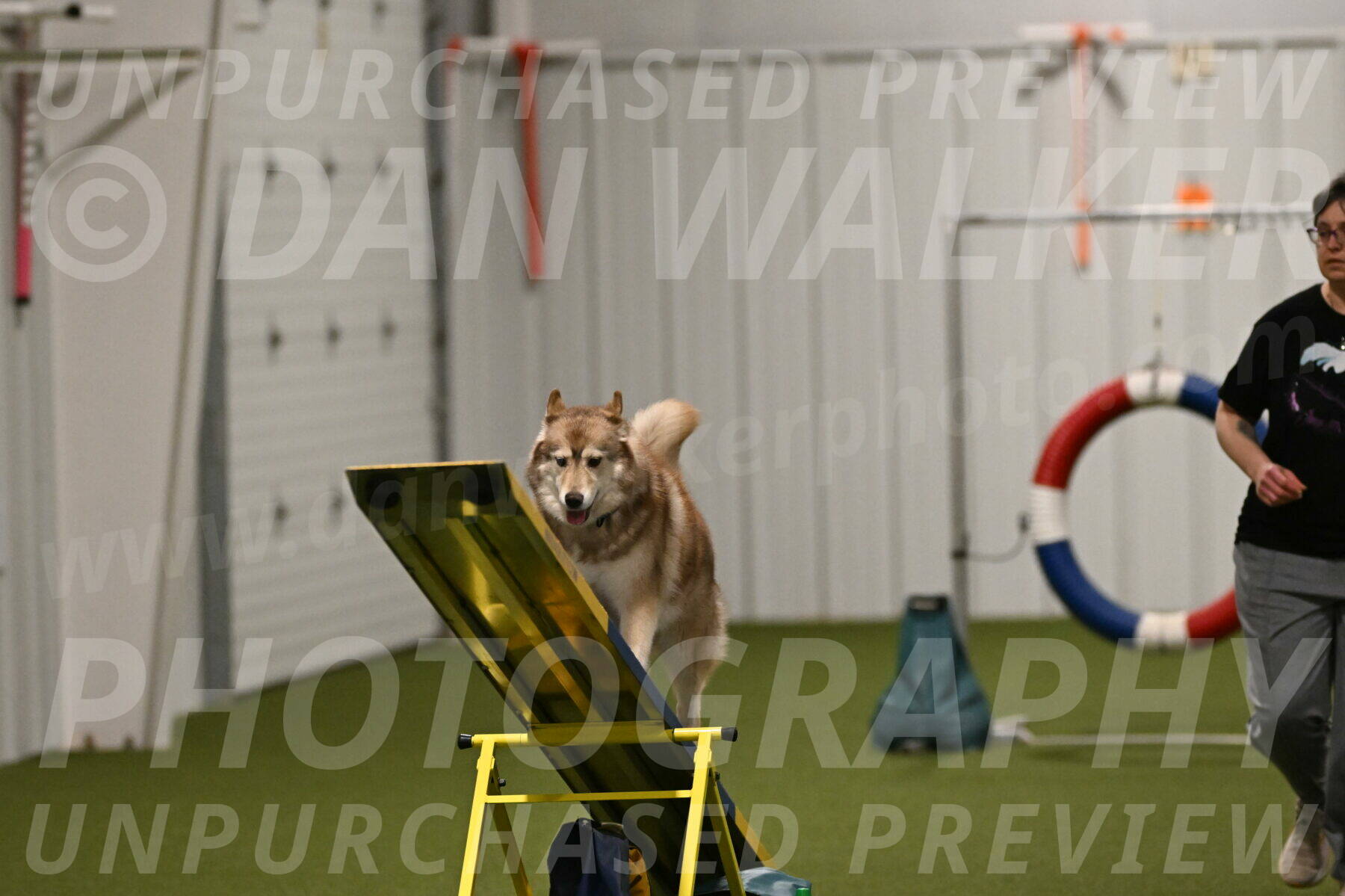 Teva-Jamie-Thompson-04189