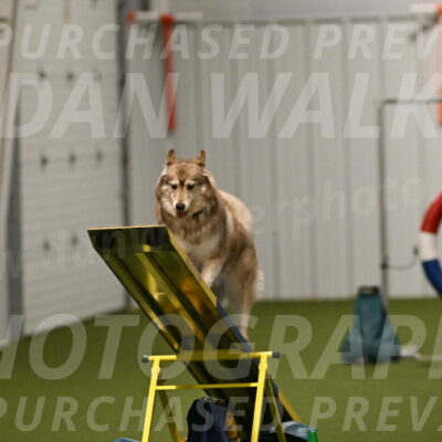 Teva-Jamie-Thompson-04190