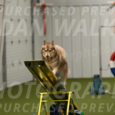 Teva-Jamie-Thompson-04191