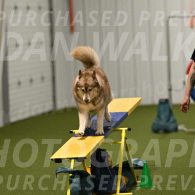 Teva-Jamie-Thompson-04193