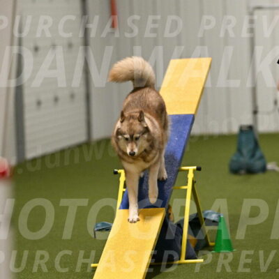 Teva-Jamie-Thompson-04194