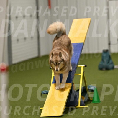 Teva-Jamie-Thompson-04195