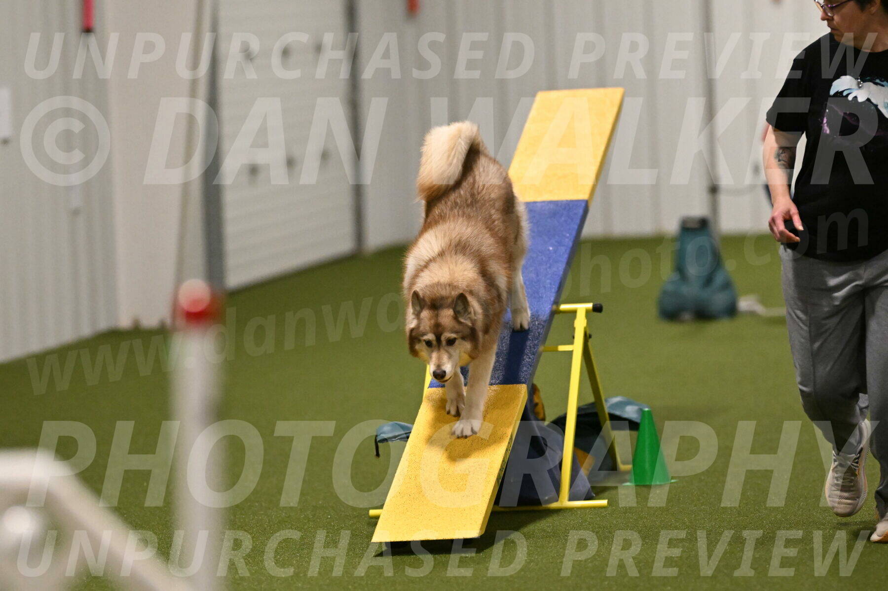 Teva-Jamie-Thompson-04196