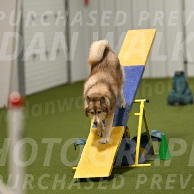 Teva-Jamie-Thompson-04196