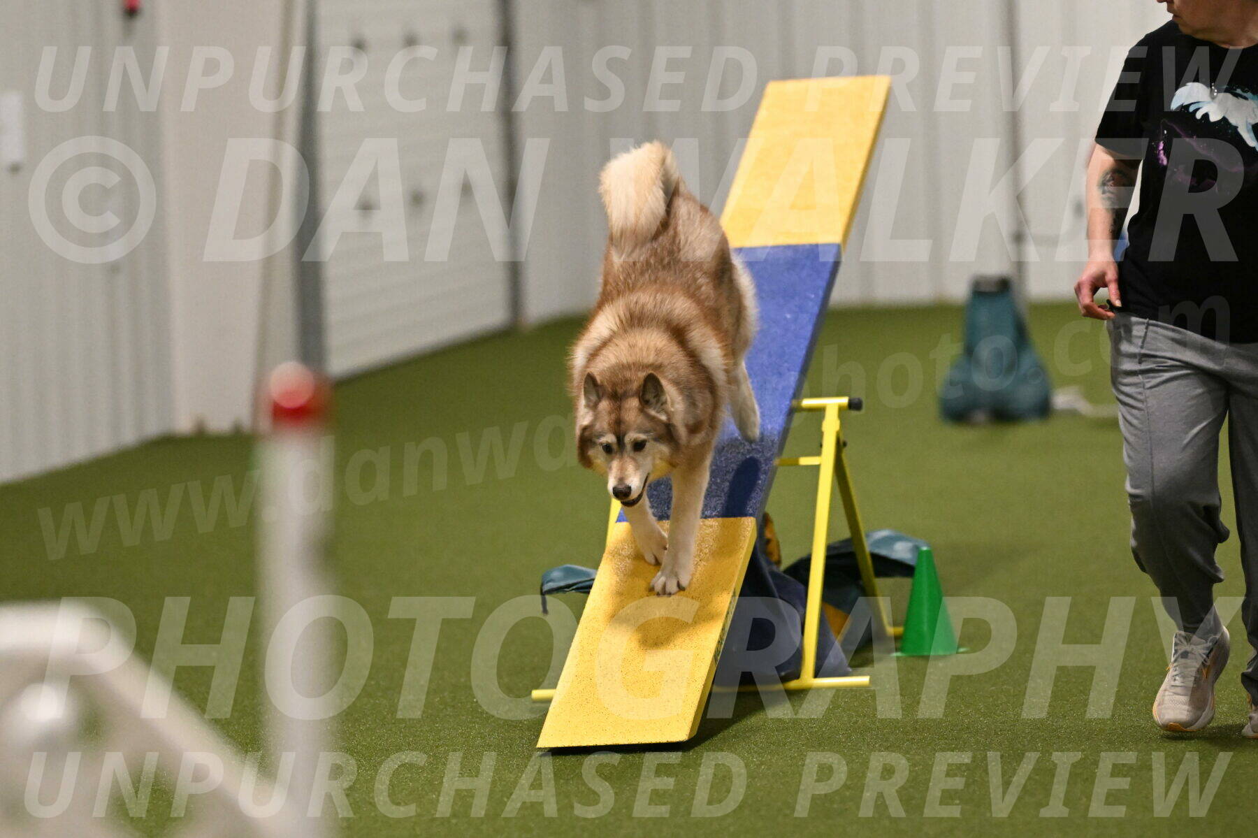 Teva-Jamie-Thompson-04197