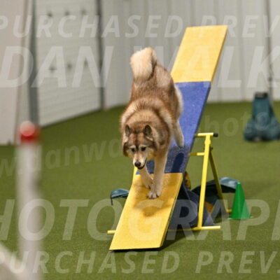 Teva-Jamie-Thompson-04197