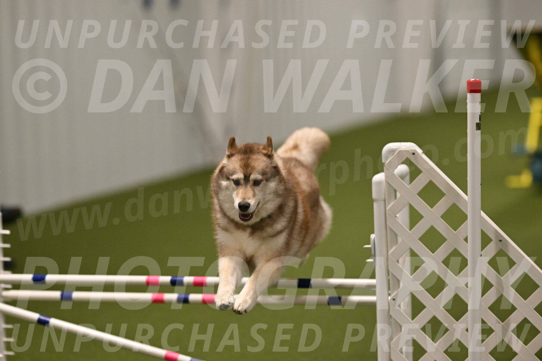 Teva-Jamie-Thompson-04198