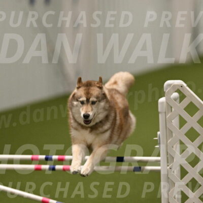 Teva-Jamie-Thompson-04198