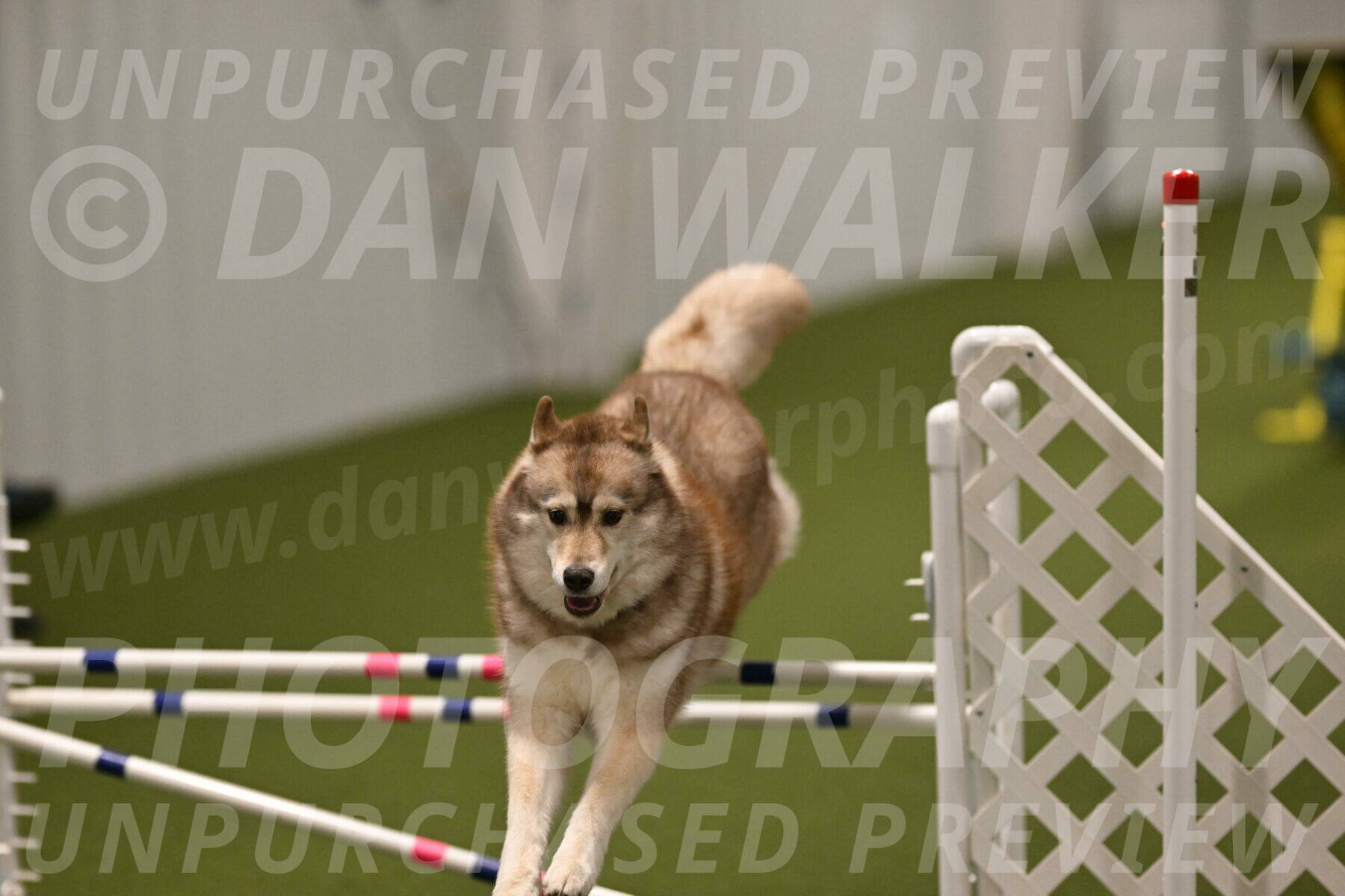 Teva-Jamie-Thompson-04199