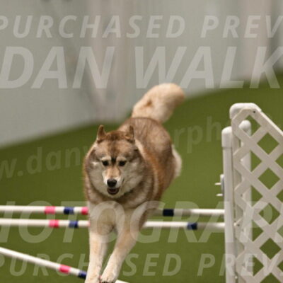 Teva-Jamie-Thompson-04199