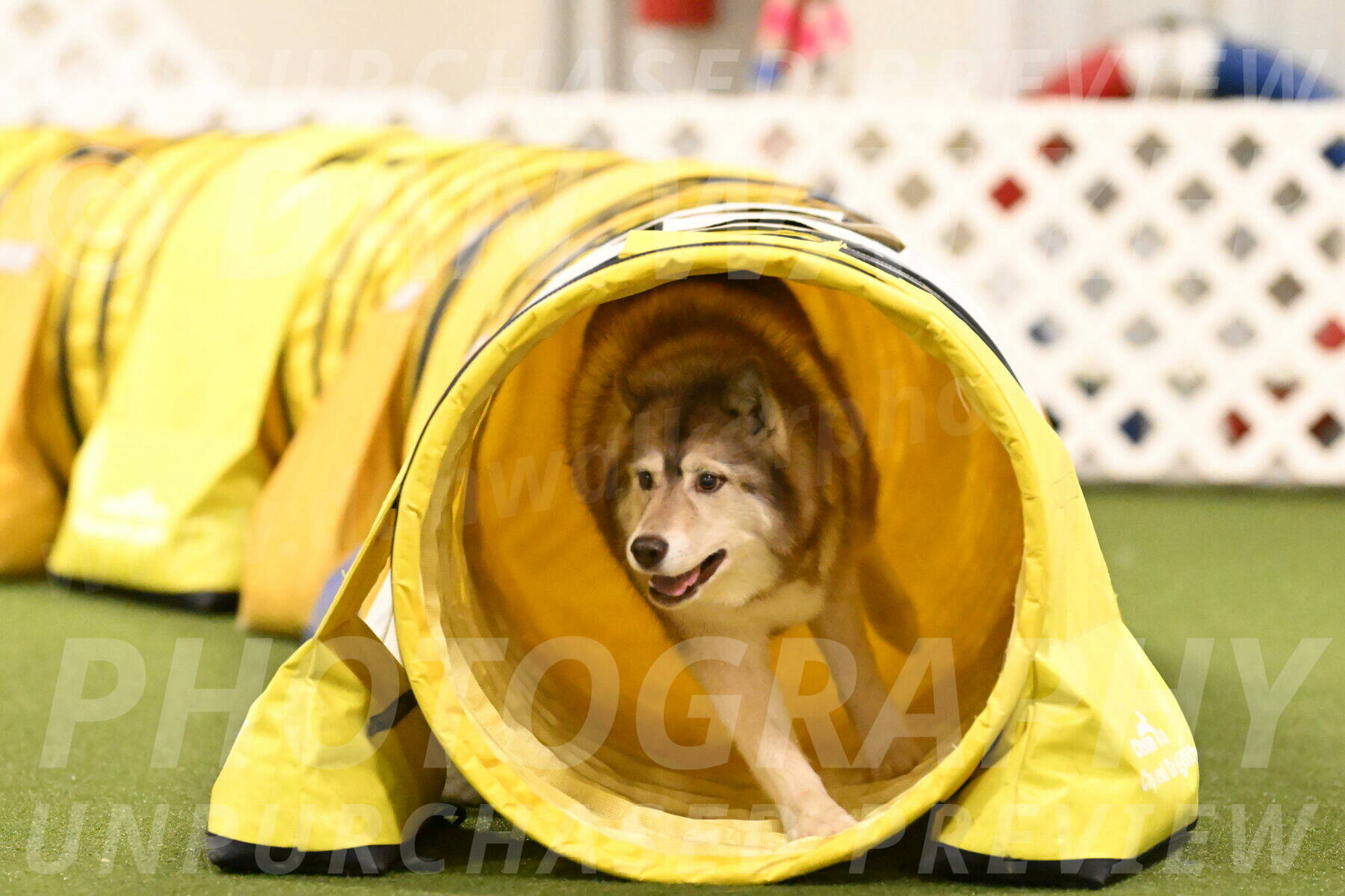 Teva-Jamie-Thompson-04200