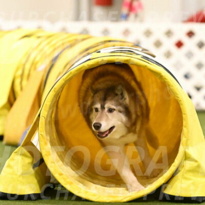 Teva-Jamie-Thompson-04200