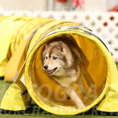 Teva-Jamie-Thompson-04201