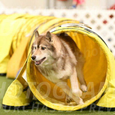 Teva-Jamie-Thompson-04202