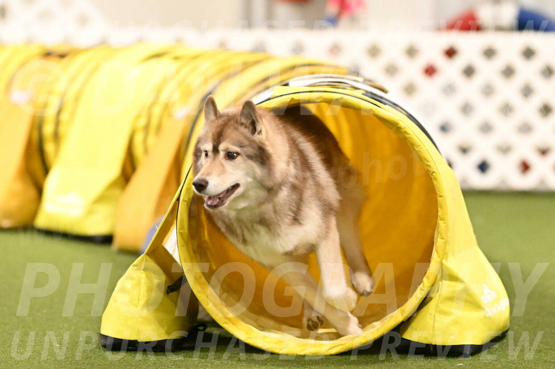 Teva-Jamie-Thompson-04202