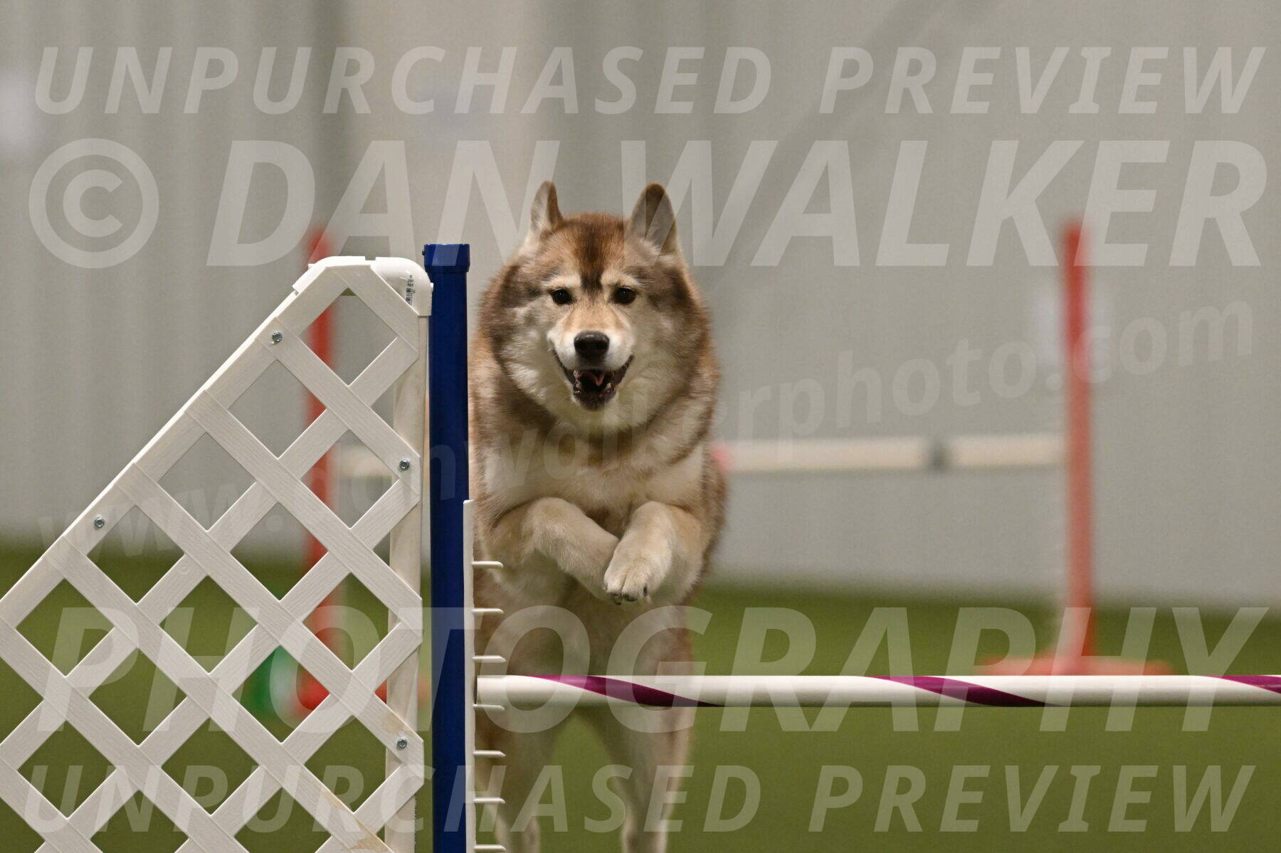 Teva-Jamie-Thompson-04203