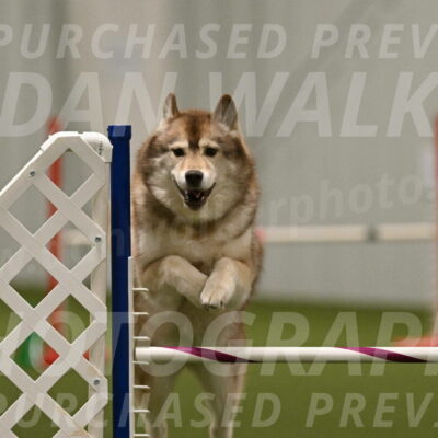 Teva-Jamie-Thompson-04203