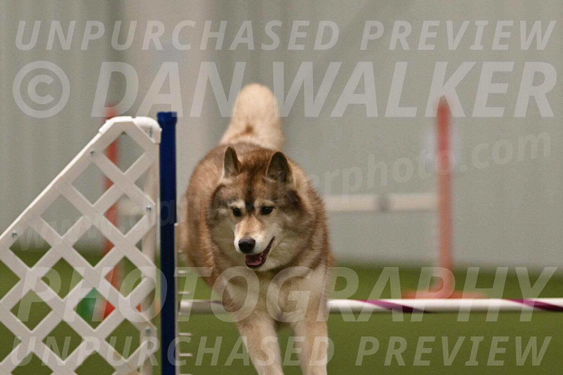 Teva-Jamie-Thompson-04204