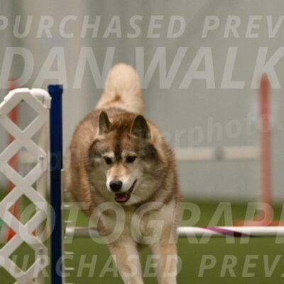 Teva-Jamie-Thompson-04204