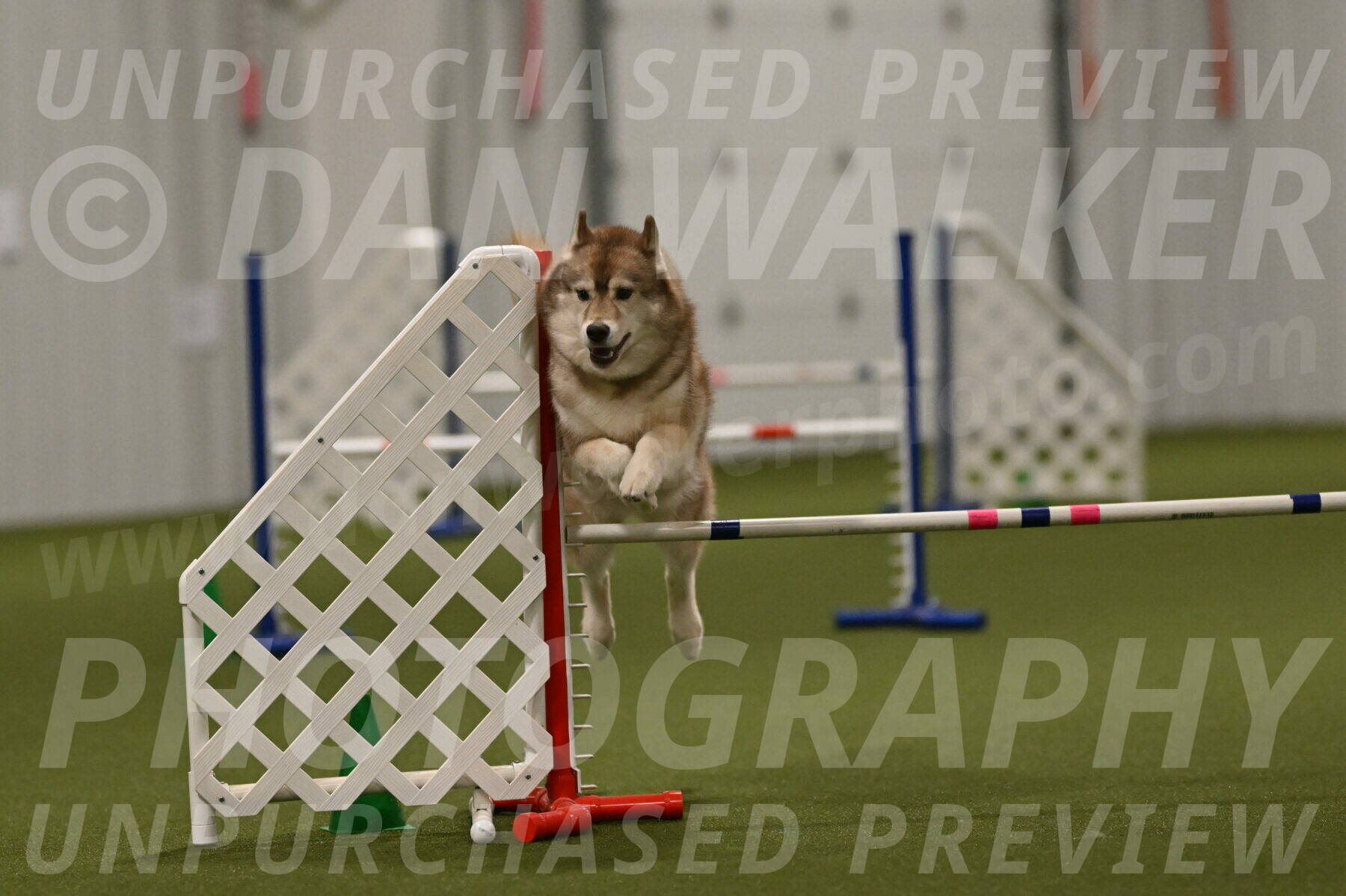 Teva-Jamie-Thompson-04205