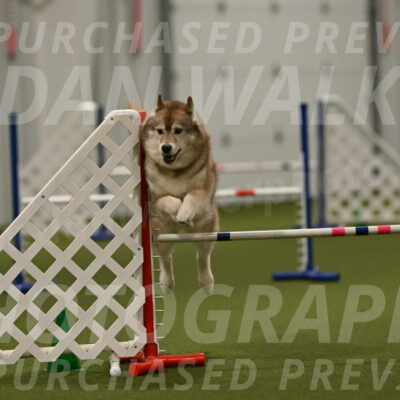 Teva-Jamie-Thompson-04205