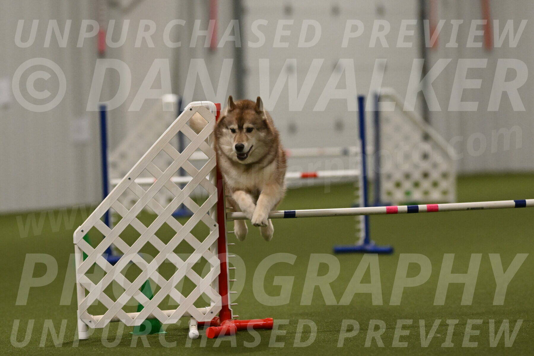 Teva-Jamie-Thompson-04206