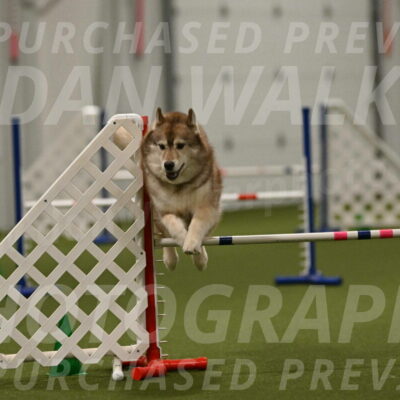 Teva-Jamie-Thompson-04206