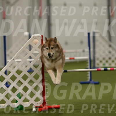 Teva-Jamie-Thompson-04207