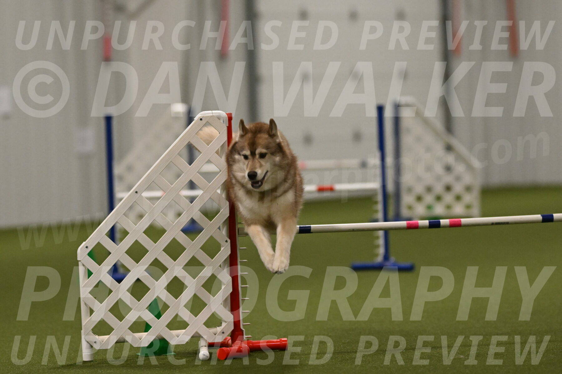 Teva-Jamie-Thompson-04207