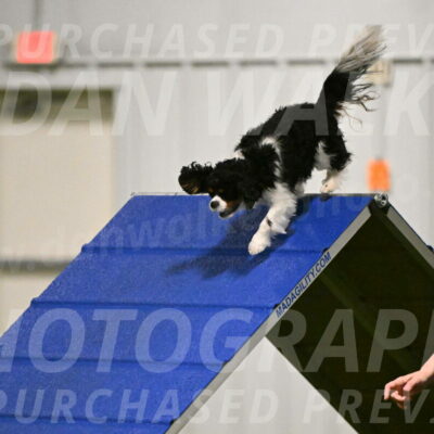 Theo-Amy-Jeske-08468