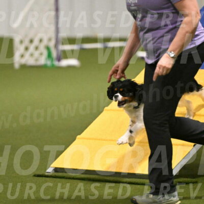 Theo-Amy-Jeske-08469