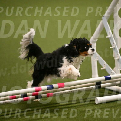 Theo-Amy-Jeske-08470