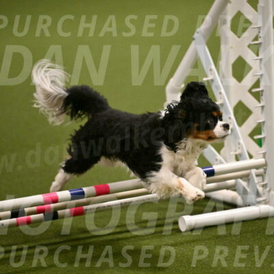 Theo-Amy-Jeske-08471