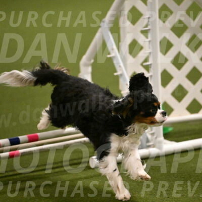 Theo-Amy-Jeske-08472