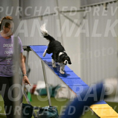 Theo-Amy-Jeske-08473