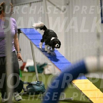 Theo-Amy-Jeske-08474