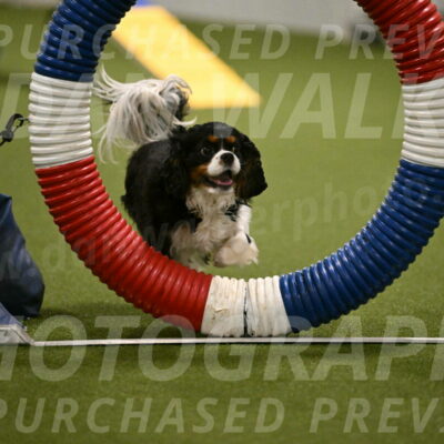 Theo-Amy-Jeske-08475